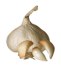 aglio